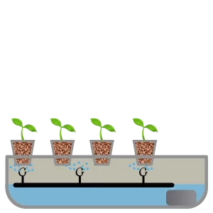 Aeroponik System erklärt