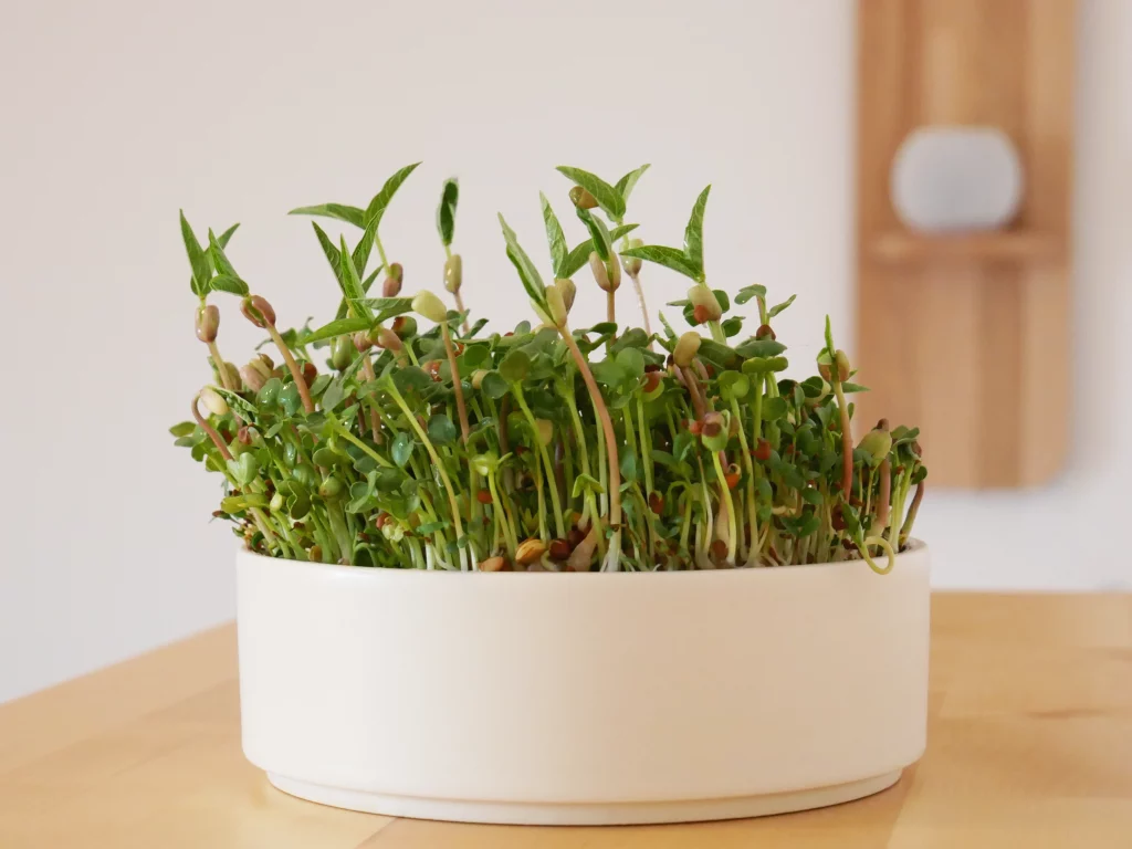 Microgreens-Schale Microgreen Schale DIY Ikea Hack 3D Print 3D Druck