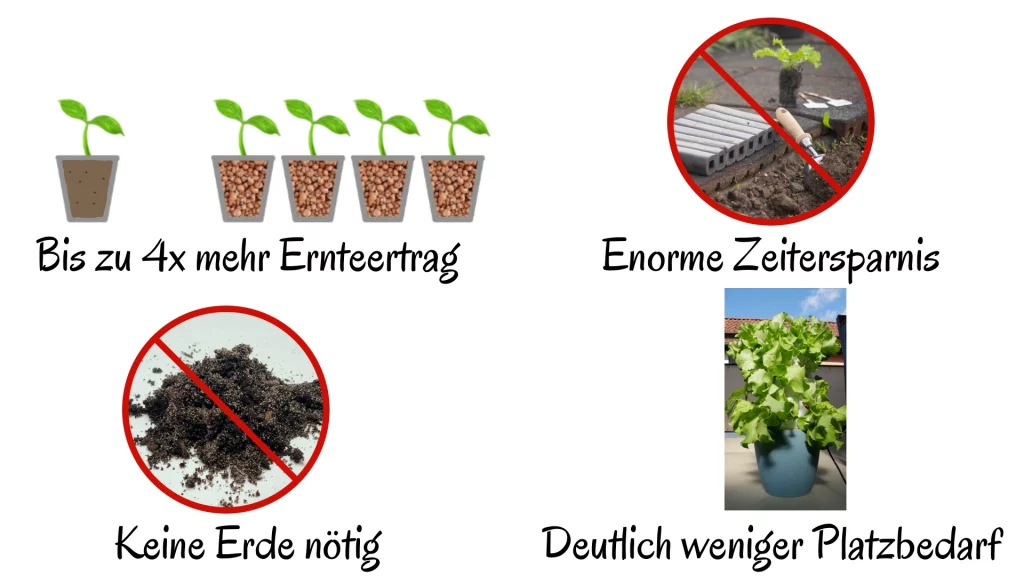 Vorteile Hydroponik Hydroponik DIY Hydroponik deutsch Erklärung Hydro-Set Hydrokultur hydroponik Anbau Vorteile