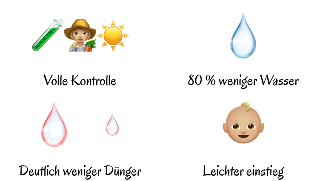 Vorteile Hydroponik Hydroponik DIY Hydroponik deutsch Erklärung Hydro-Set Hydrokultur hydroponik Anbau Vorteile 2