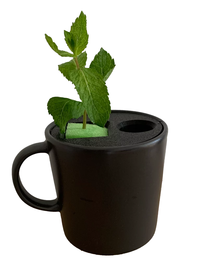 MutualGarden MutualCupGarden Hydroponik Tasse DIY Druckdatei Kostenlos Free