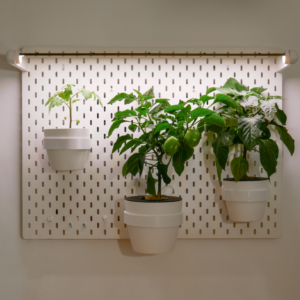 BoardGarden NEU Hydroponik Wand vertikal Hydroponisch Anbauen Wandgarten Stadtgarten DIY Projekt IKEA Hack 3D Druck MutualGarden Kratky DWC mini Garten Kräutergarten Indoorgarten
