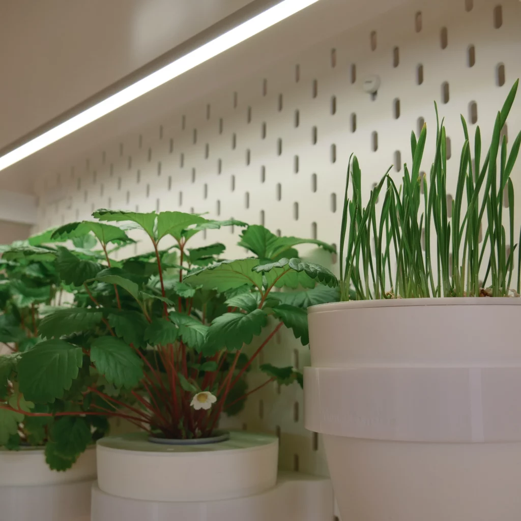 Hydroponik-Garten-Indoor-Hydroponik-Garten-Vertikal-Indoorgarten-IKEA-Hack-Garten-3D-Drucker-DIY-Projekt--