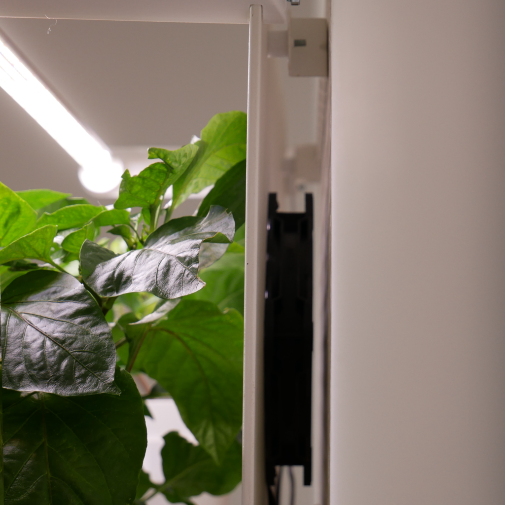 BoardGarden NEU Hydroponik Wand vertikal Hydroponisch Anbauen Wandgarten Stadtgarten DIY Projekt IKEA Hack 3D Druck MutualGarden Kratky DWC mini Garten Kräutergarten Indoorgarten