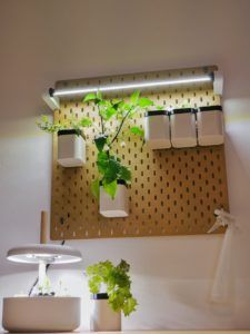 Ikea-Skadis Organisierter Hydroponik Garten für Salat Tomaten indoor mit LED Beleuchtung 3D-Druck selber bauen Garten MutualGarden