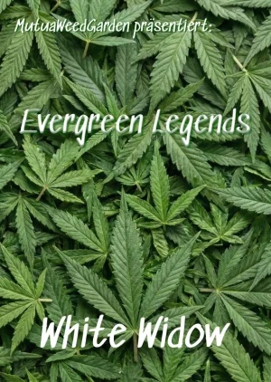 tradition sorte classic klassiker Cannabis Gras samen kaufen deutschlad versand deutschland qualität