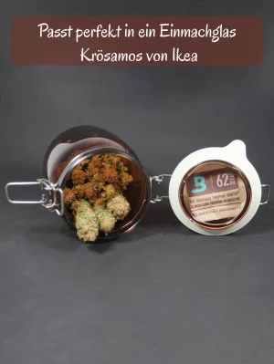 Gras fermentieren Cannabis aushärten Einmachglas Braunglas Boveda Pack 62%