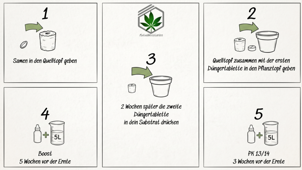 Cannabis Samen sähen einfach BIO Set all in one Set Samen kaufen günstig Deutschlad.webp