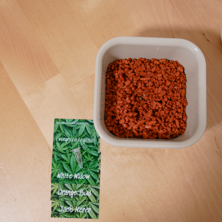 Seeder Wanne kleiner Topf Set Cannabis Anzucht Keimung 100% geliongt immer Weed keimen einfach schnell Geschen für Grower Hobby Hydroponik Einstieg Keimung