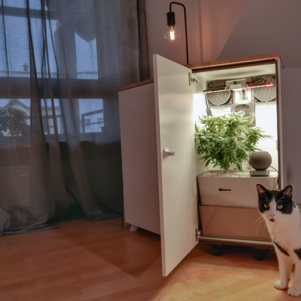 LISA core mini Grow Schrank leise effizient DIY günstig Blüte Ebbe Flut System Cannabis anbauen