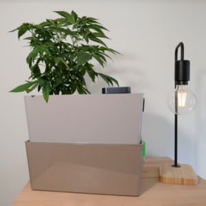 EbbeFlutSystem Ebbe Flut System komplett mit Pumpe und allem Zubehör Hydroponik Cannabis DIY 3D Drucker STL Free kostenlos